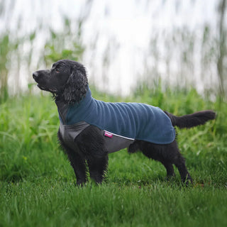 JumppaPomppa – den perfekta hundtröjan för träning och vardag året runt
