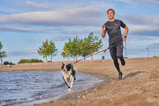 Vilket koppel passar er bäst? Guide till Touring Bungee & Bungee Leash från Non-stop Dogwear