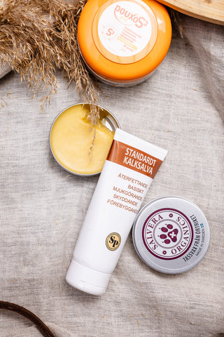 Det är kalla dagar nu – så hjälper du din hund genom vintertröttheten