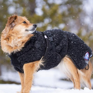 Varm hundjacka i 100 % merinoull – Canelana Ambassador