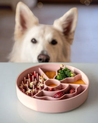 Fiboo hundskål slowfeed