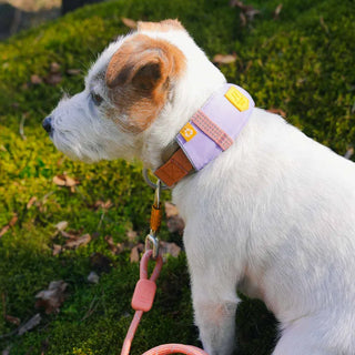 Woolly Wolf Halsband Alpha