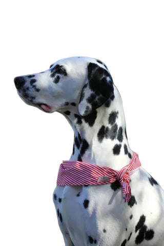 Jackie scarves röd/randig