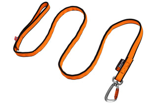 Non stop bungee leash