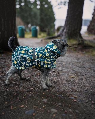 Hundinspiration Beana Frostbite vintertäcke i mörkgrönt mönstrat softshellmaterial med stormkrage på en hund.