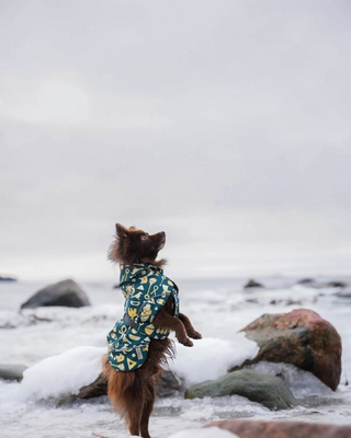 Hundinspiration Beana Frostbite vintertäcke med mönster på en hund som står upp i ett snöigt vinterlandskap