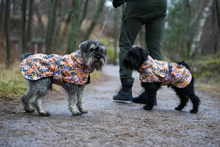 Beana stormrider raincoat