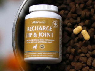 AktivSvea Recharge Hip & Joint (vegansk)