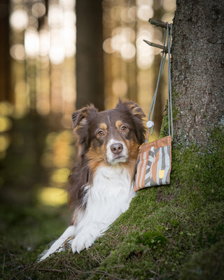 Woolly Wolf accessory bag cloudbeam