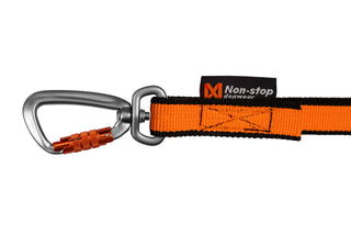 Non stop bungee leash