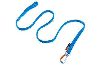 Non stop bungee leash