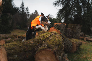 Non stop dogwear - Fjord regnjacka 2.0