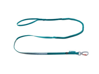 Non stop touring bungee leash
