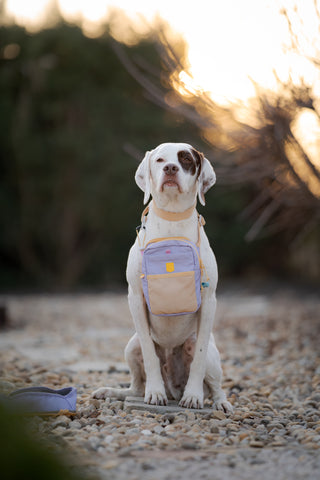 Woolly Wolf hydration shoulderbag lavendel