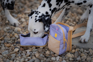 Woolly Wolf hydration shoulderbag lavendel