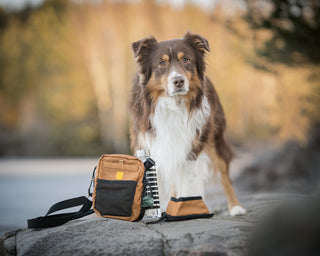 Woolly Wolf hydration shoulderbag brun