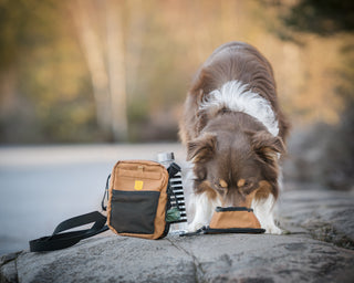 Woolly Wolf hydration shoulderbag brun