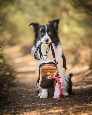 Woolly Wolf hydration shoulderbag brun