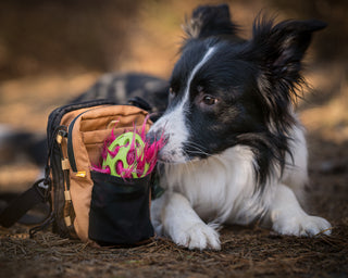Woolly Wolf hydration shoulderbag brun