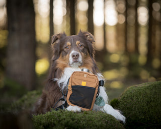 Woolly Wolf hydration shoulderbag brun