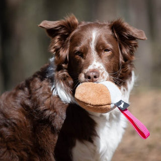 Joy Chewie med pip