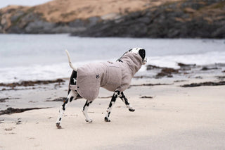 Non stop dogwear - torktäcke beige