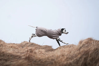 Non stop dogwear - torktäcke beige
