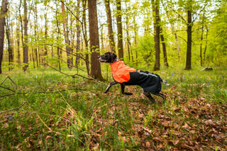 Non stop dogwear - Fjord regnjacka 2.0