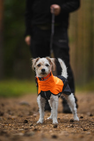 Non stop dogwear - Fjord regnjacka 2.0