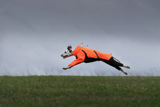 Non stop dogwear - Fjord overall regnjacka