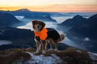 Non stop dogwear - Fjord regnjacka 2.0