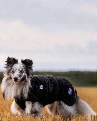 Hund i Hundinspiration Canelana ambassadör ulltäcke i mörkgrå merinoull som ger värme och god rörlighet utomhus