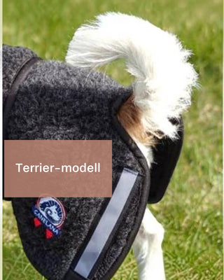 Hundinspiration Canelana ambassadör ulltäcke i grå merinoull med reflexdetaljer på en hund utomhus.