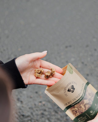 Hundinspiration hjortgodis i små tärnade bitar som hålls i en hand bredvid en förpackning med hundträningsgodis
