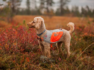 Non stop dogwear - Reflection blanket