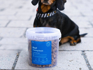 Buddy - Training snack beef