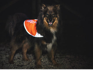 Non stop dogwear - Reflection blanket