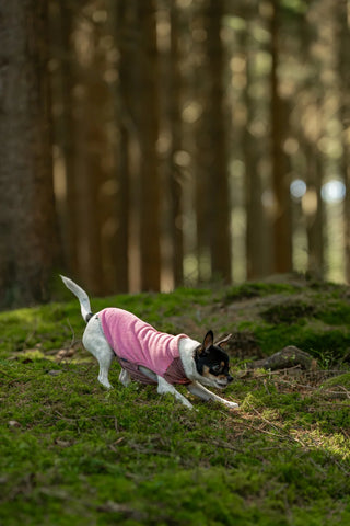 Non-stop dogwear Trail quest fleece pullover