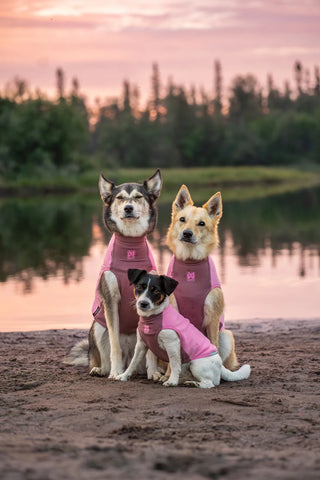 Non-stop dogwear Trail quest fleece pullover