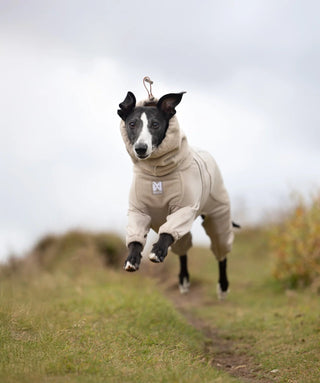 Non stop dogwear - Trail Quest Fleece Overall