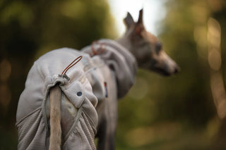 Non stop dogwear - Trail Quest Fleece Overall