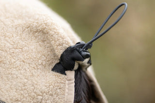 Non stop dogwear - Wool dog jacket sand