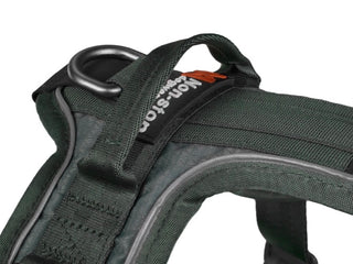 Non stop dogwear - Ramble harness green