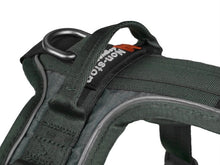 Ladda upp bild till gallerivisning, Non stop dogwear - Ramble harness green