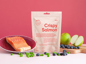 Buddy petfood - Crispy salmon