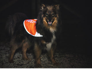 Non stop dogwear - Reflection blanket