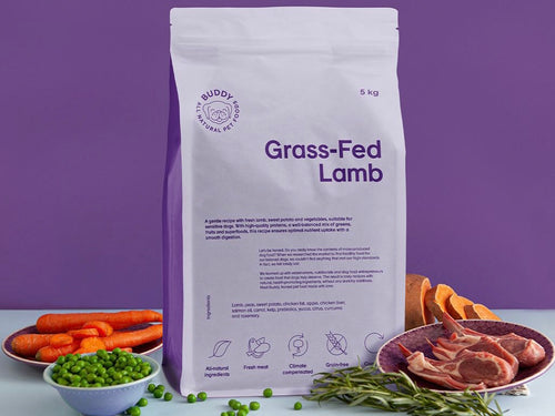 Buddy petfood - Grass-fed lamb 5kg ENDAST AVHÄMTNING!