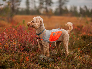 Non stop dogwear - Reflection blanket
