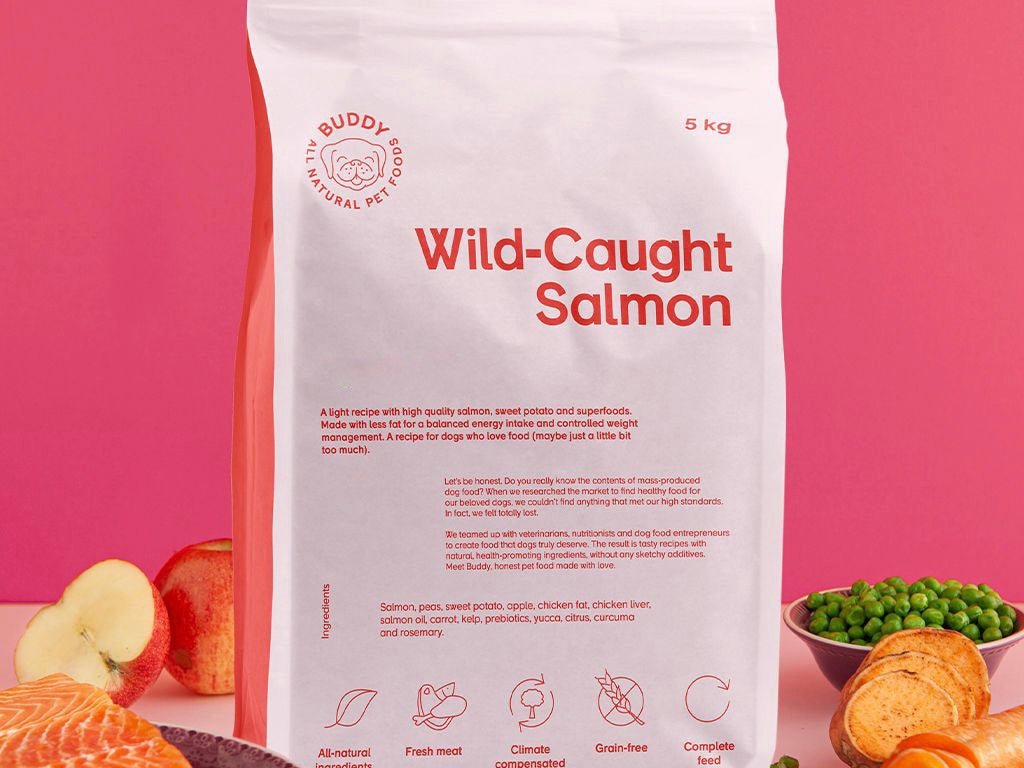 Buddy petfood - Wild caught salmon 12kg ENDAST AVHÄMTNING!