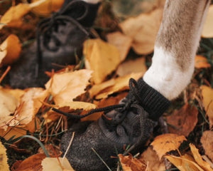 Collar of Sweden - Hundsockor
